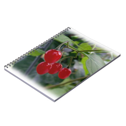 Najaarsrode vlekken notitieboek (Linkerzijde)