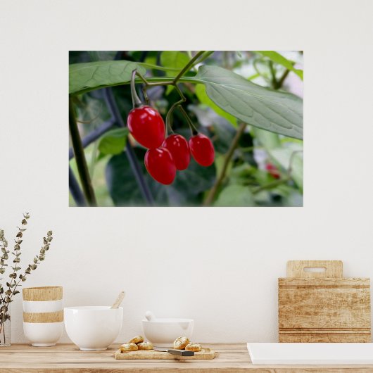 Najaarsrode vlekken poster (Keuken)