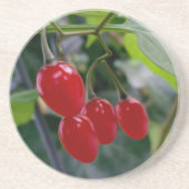 Najaarsrode vlekken zandsteen onderzetter (Voorkant)