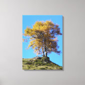 Najaarsstructuur Canvas Afdruk (Voorkant)