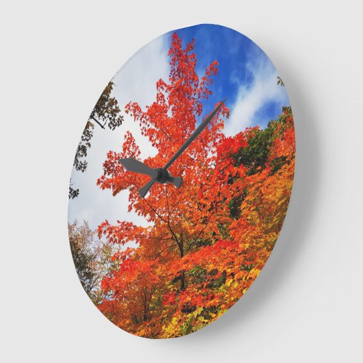 Najaarsstructuur Grote Klok (Hoek)