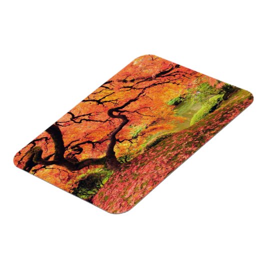 Najaarsstructuur Magneet (Linkerzijde)