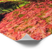 Najaarsstructuur Poster (Hoek)