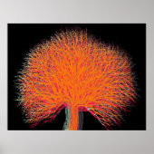 Najaarsstructuur Poster (Voorkant)