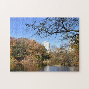 Najaarstop in New York City Central Park NYC Legpuzzel