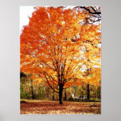 Najaarstructuur, mannetjesstructuur in Poster Herf (Voorkant)