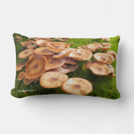 Najaarsval van paddenstoelenkolonies op het gras kussen