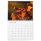 Najaarsverslag 2014 kalender (Jan 2027)