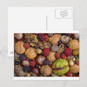Najaarsvruchten Briefkaart (Voorkant / Achterkant)