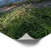 najaarswaterschapsreflecties-Poster Poster (Hoek)