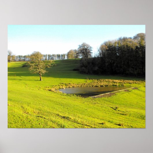Najaarszon in Somerset Poster (Voorkant)