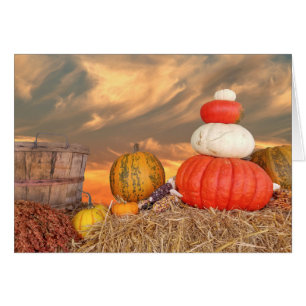 Najaarszonsondergang met pompoenen