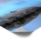 Najaarszonsopgang bij het Moosehead Lake Maine Poster (Hoek)