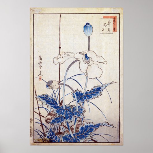 Nakayama Sugakudo Bird over Poppies Poster (Voorkant)