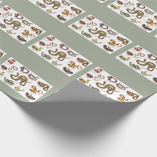 Nakeidentificatiepapier Cadeaupapier (Hoek)