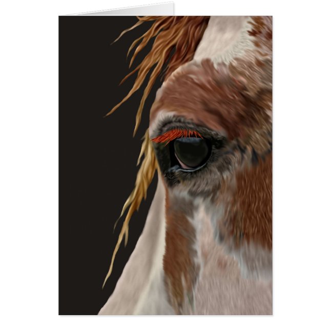 Nakota paard (Voorkant)