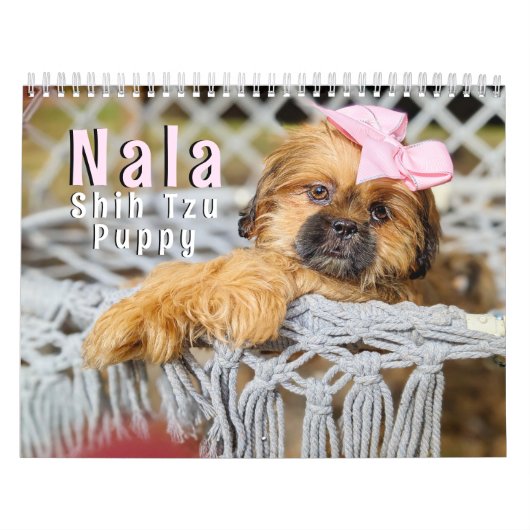 Nala Shih Tzu Aardigste Puppy Kalender (Hoes)