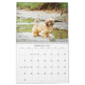 Nala Shih Tzu Aardigste Puppy Kalender (Feb 2027)