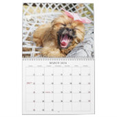 Nala Shih Tzu Cutest Puppy  Kalender (Mar 2026)