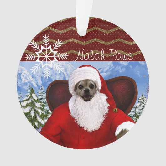 Nalah Paws Ornament (voorkant)