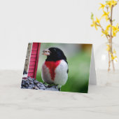 Nam breasted Grosbeak toe Kaart (Gele Bloem)