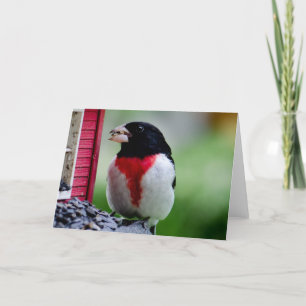 Nam breasted Grosbeak toe Kaart