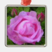 Nam de Ornamenten van de Vakantie van Indrukken (Voorkant)