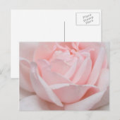 Nam het Briefkaart van Bloemblaadjes toe (Voorkant / Achterkant)