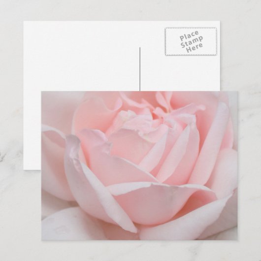 Nam het Briefkaart van Bloemblaadjes toe (Voorkant / Achterkant)