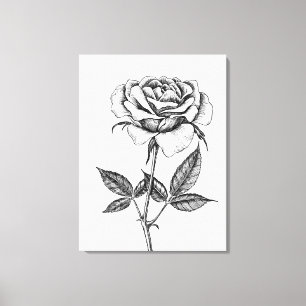 Nam tekening toe canvas afdruk