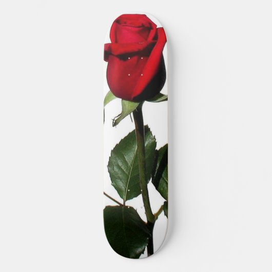 NAM toe Skateboard (Voorkant)