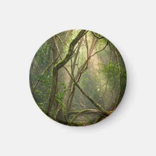 Namal Uyana Mystieke Bos Golfballen - IJzerhout Magneet