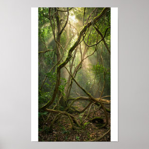 Namal Uyana Mystieke Bos Golfballen - IJzerhout  Poster