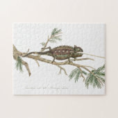 Namaqua chameleon Lizard Reptile Gecko Legpuzzel (Horizontaal)
