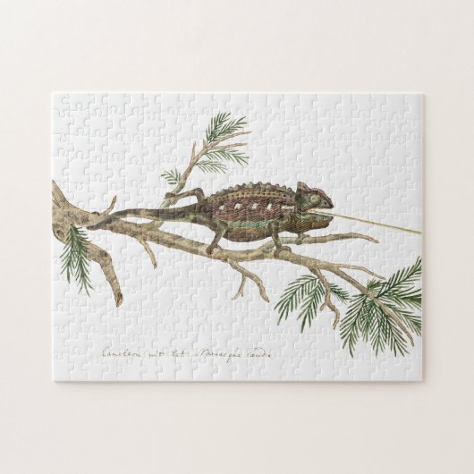 Namaqua chameleon Lizard Reptile Gecko Legpuzzel (Horizontaal)