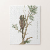 Namaqua chameleon Lizard Reptile Gecko Legpuzzel (Verticaal)