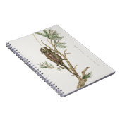 Namaqua chameleon Lizard Reptile Gecko Notitieboek (Rechterzijde)