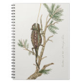 Namaqua chameleon Lizard Reptile Gecko Notitieboek (Voorkant)