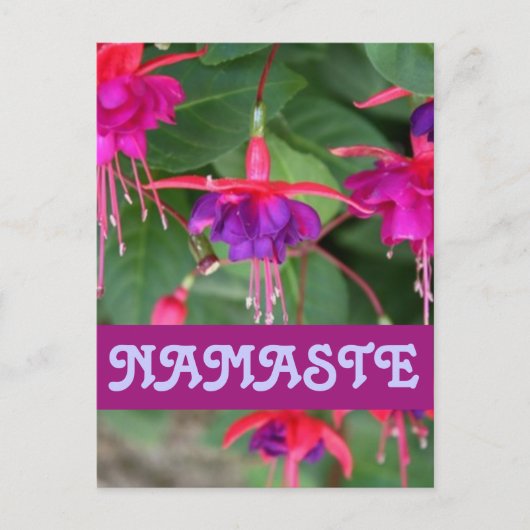 NAMASTE fuschia-briefkaart Briefkaart (Voorkant)