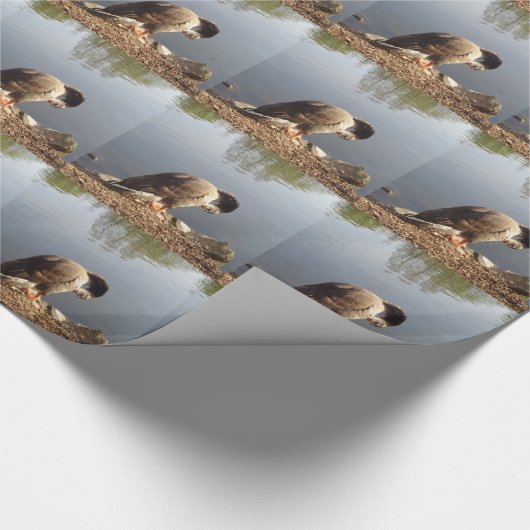 Namaste Goose bows head, Natuur, Wildlife, Vogels Cadeaupapier (Hoek)