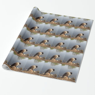 Namaste Goose bows head, Natuur, Wildlife, Vogels Cadeaupapier