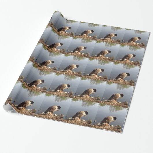 Namaste Goose bows head, Natuur, Wildlife, Vogels Cadeaupapier (Uitgerold)
