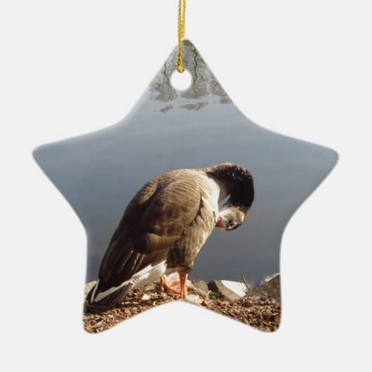 Namaste Goose bows head, Natuur, Wildlife, Vogels Keramisch Ornament (Voorkant)
