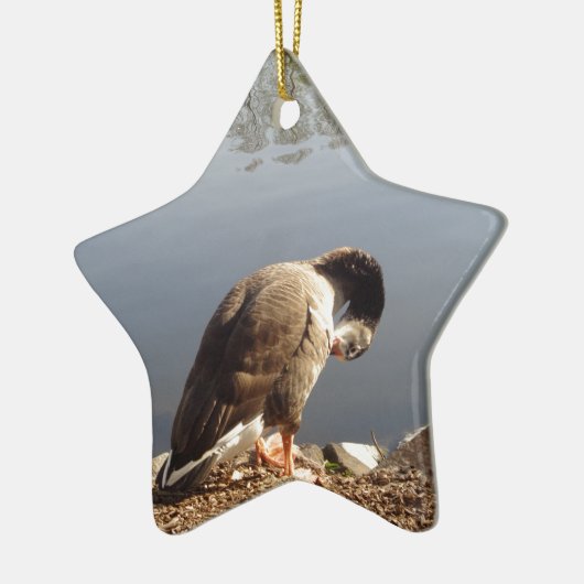 Namaste Goose bows head, Natuur, Wildlife, Vogels Keramisch Ornament (Links)