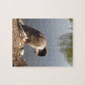 Namaste Goose bows head, Natuur, Wildlife, Vogels Legpuzzel (Horizontaal)