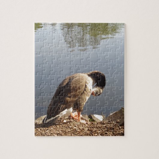 Namaste Goose bows head, Natuur, Wildlife, Vogels Legpuzzel (Verticaal)