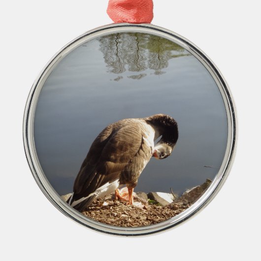 Namaste Goose bows head, Natuur, Wildlife, Vogels Metalen Ornament (Voorkant)