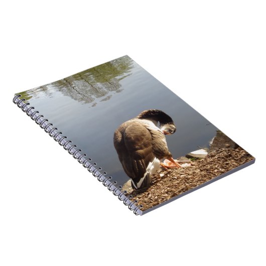 Namaste Goose bows head, Natuur, Wildlife, Vogels Notitieboek (Rechterzijde)