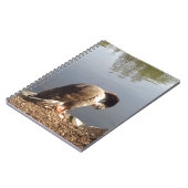 Namaste Goose bows head, Natuur, Wildlife, Vogels Notitieboek (Linkerzijde)