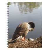 Namaste Goose bows head, Natuur, Wildlife, Vogels Notitieboek (Voorkant)